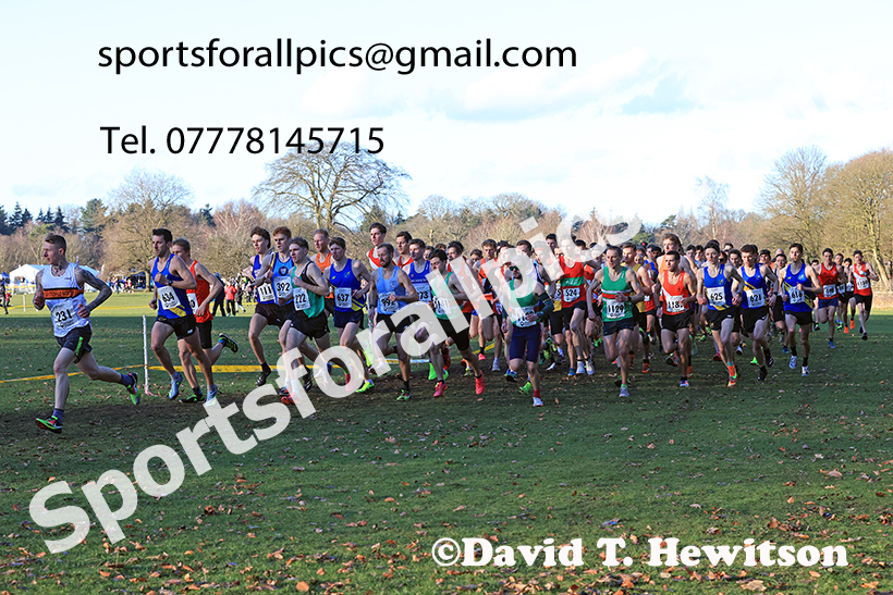 Senior mens 2025 Northern Cross Country Champs, Tatton Park, Knutsford, Cheshire. Photo: David T. Hewitson/Sports for All Pics